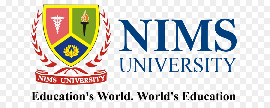 NIMS University